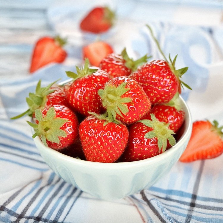 strawberry1.jpg