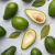avocado01.png