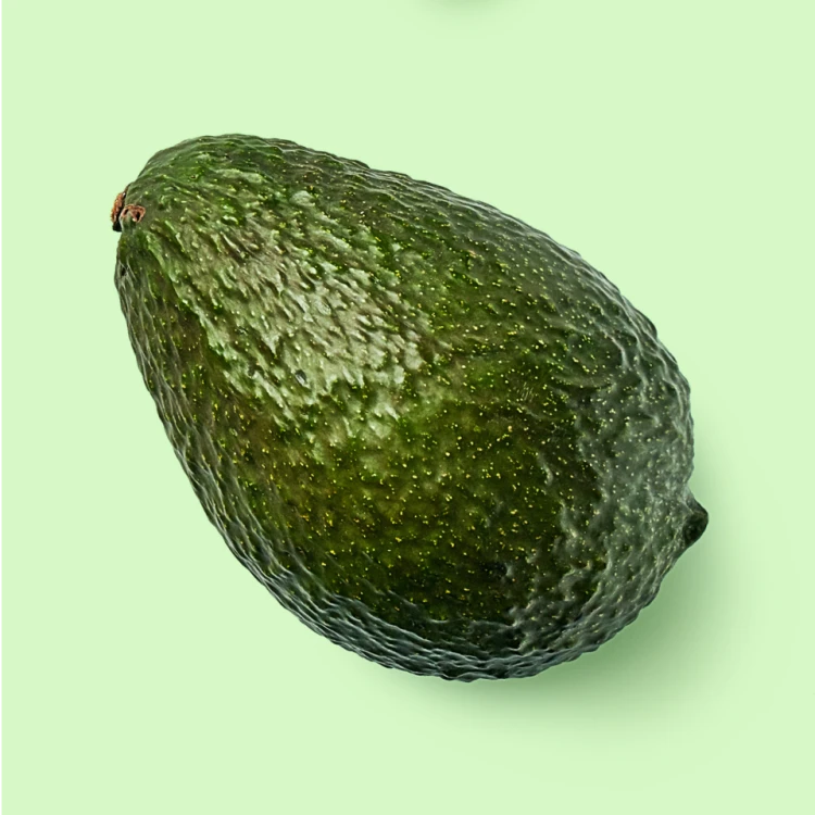 avocado04.png
