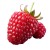 rastberry.jpg