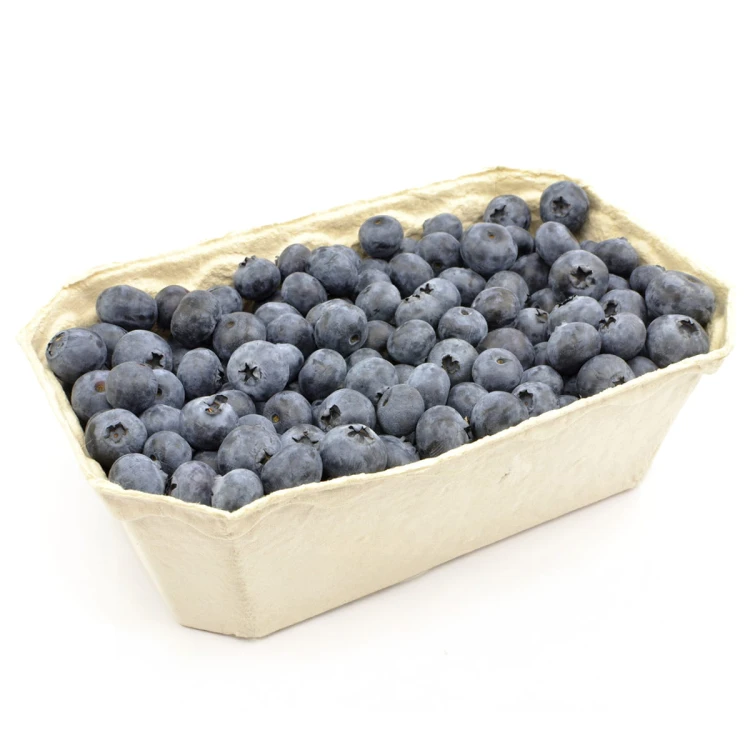 berries1.jpg