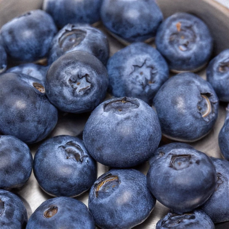 berries3.jpg