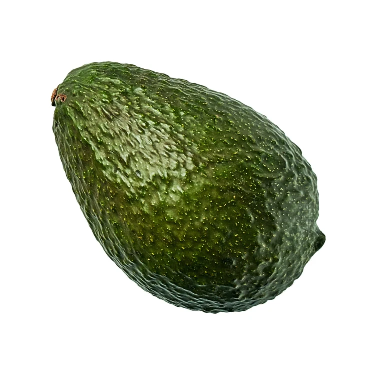 avocado01.jpg