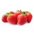strawberry01.jpg