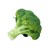 broccoli1.jpg
