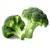 broccoli2.jpg