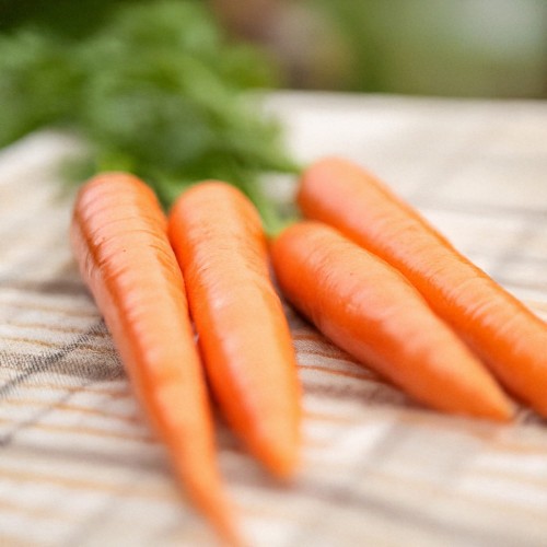 carrot2.jpg