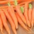 carrot3.jpg