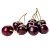 cherries1.jpg
