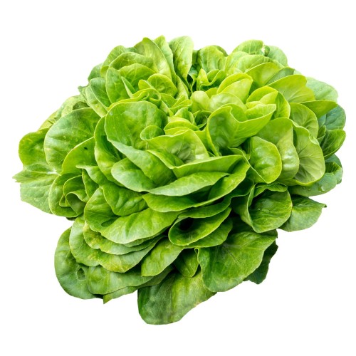 salata.jpg