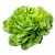 salata.jpg
