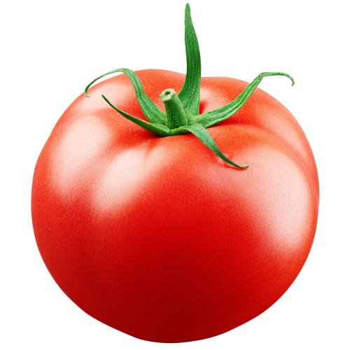 tomato1.jpg