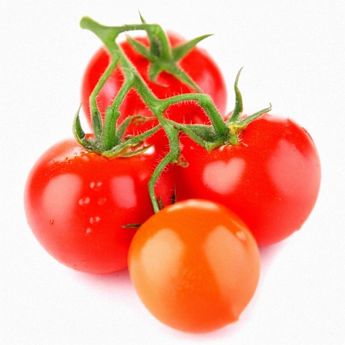 tomato2.jpg