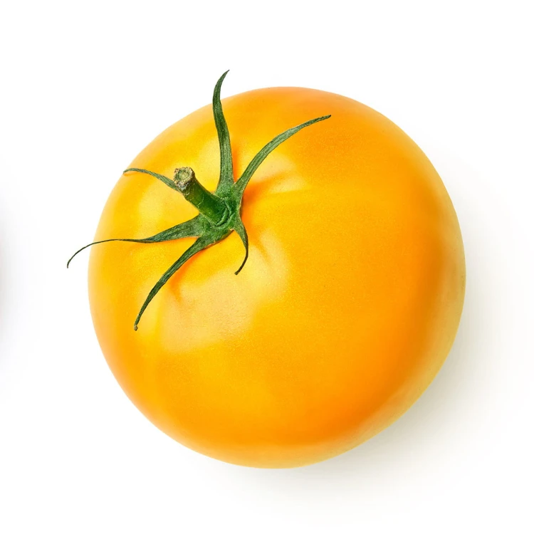 tomato-y.jpg