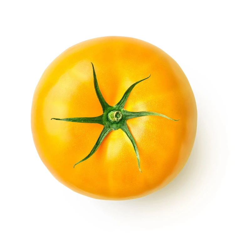 tomatoy-2.jpg