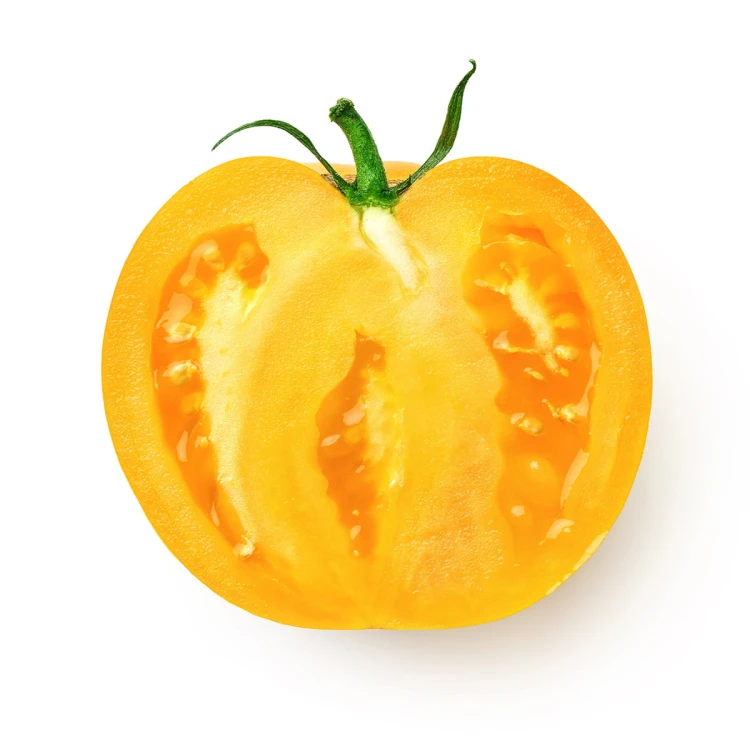 tomatoy-3.jpg