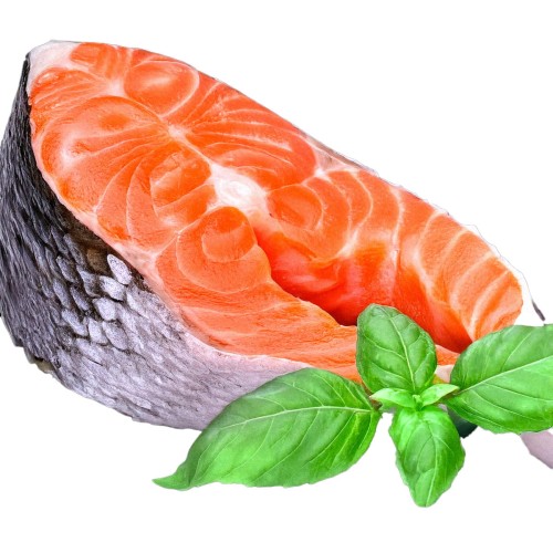 fish2.jpg