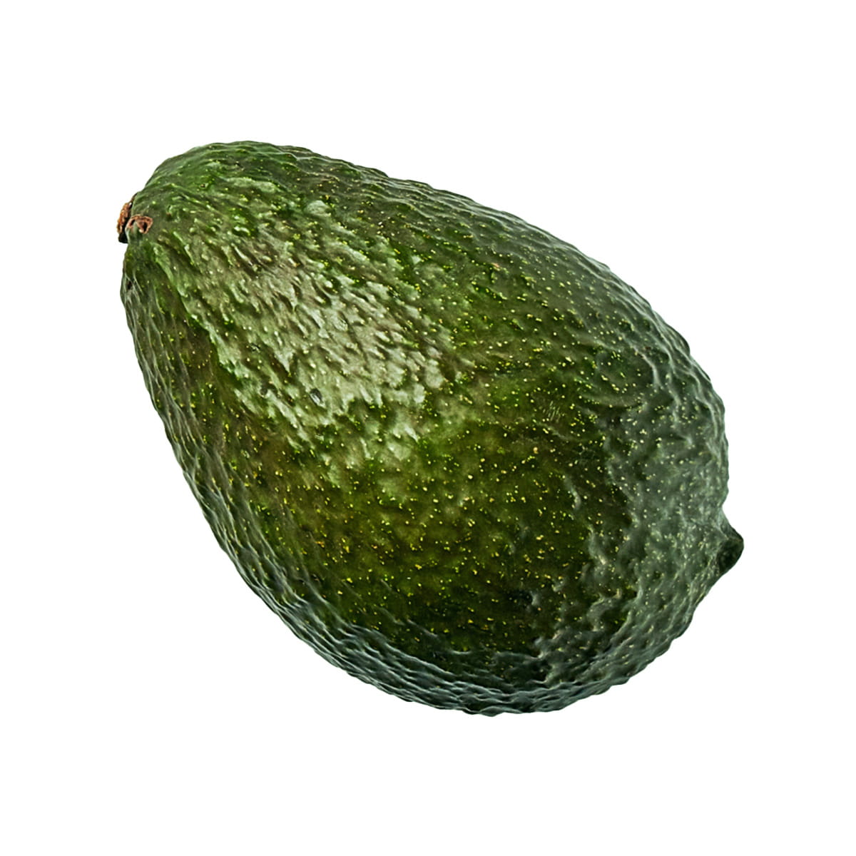 avocado01.jpg
